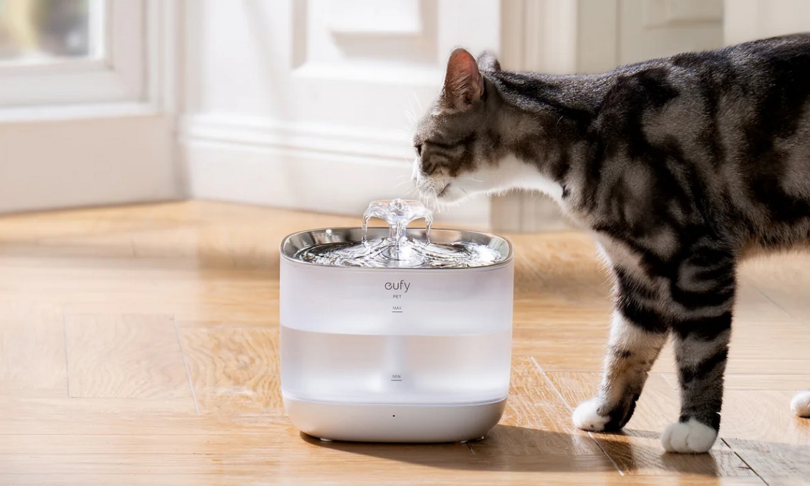 Cat Drinks From Cordless Water Fountain