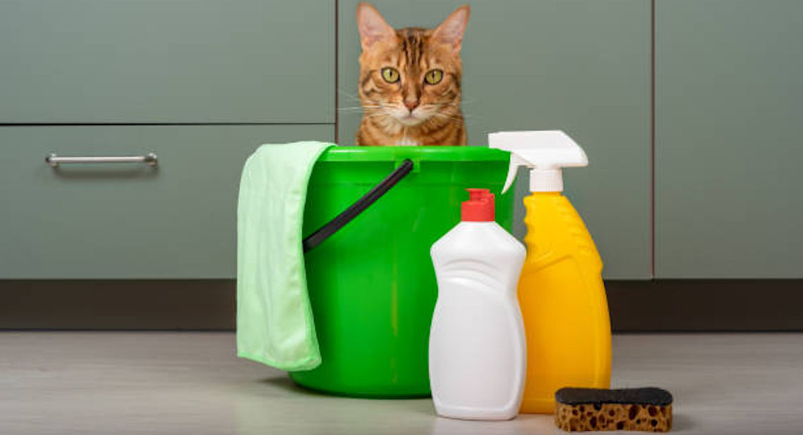 Cat Urine Cleaner